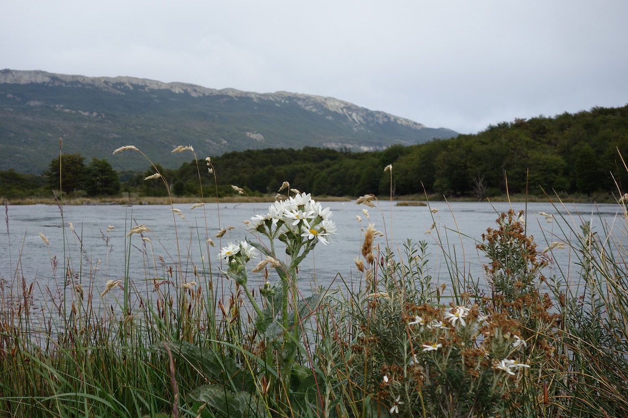 The Quiet Allure of Argentina’s Tierra del Fuego